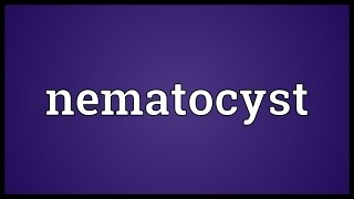 Nematocyst Meaning [upl. by Ellemaj]