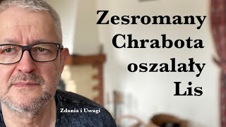 Zesromany Chrabota oszalały Lis [upl. by Farris]