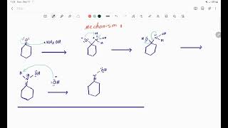 cyclohexanone oxime synthesis mechanism chemicalreaction [upl. by Rudwik]