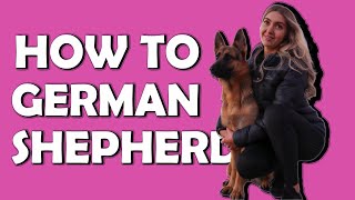 A year in the life of a German Shepherd  HOW TO German Shepherd [upl. by Walker]