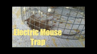 Homemade Electric Rat and Mouse Killer [upl. by Lenka]