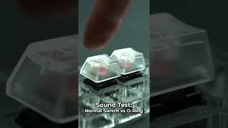 ORings vs Normal Switches  Sound Test [upl. by Renrag]