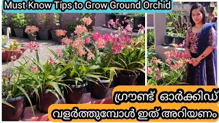 10 Golden tips for Healthy Ground Orchids  ഗ്രൗണ്ട് ഓർക്കിഡ് ചെടി ആരോഗ്യത്തോടെ വളർത്താൻ 10 ടിപ് [upl. by Letsou]