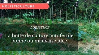 la butte de culture autofertile bonne ou mauvaise idée [upl. by Tlok]