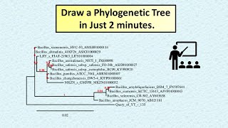 Draw Phylogenetic Tree in Just 2 Minutes phylogenetictree phylogenyfr research phd [upl. by Eltsyrk963]