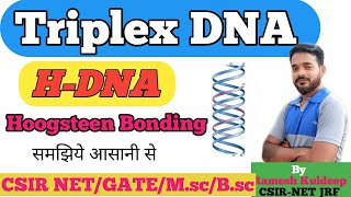 Tripex DNA  Triple DNA  H DNA Triple Helix DNA CSIR NET Life Sciences  Unique Life Sciences [upl. by Heron]