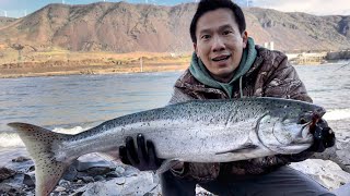 Lucky Springer and Walleye  Bank Fishing Columbia River [upl. by Yendic266]