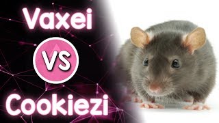 🇺🇸 Vaxei vs Cookiezi 🇰🇷 Jerma  Rats Birthday Mixtape mithew We Are the Rats [upl. by Allicerp731]