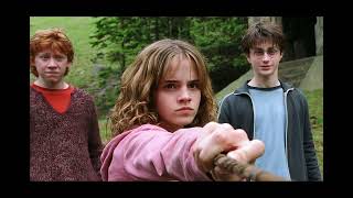 Harry Potter HBO Exec Reveals When We Can Expect To See New Series [upl. by Adaurd]