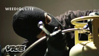 Making Weed Concentrates in an Underground Lab  WEEDIQUETTE [upl. by Neral999]