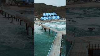 동해의 어느 아름다운 바닷가 임영웅 마량에 가고 싶다 [upl. by Eramat]