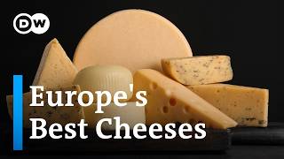 How cheese is made in Europe [upl. by Ahsitil]