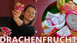 ALLES über die Drachenfrucht Pitaya [upl. by Pillyhp810]