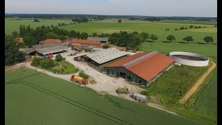 Ein kuhles Leben  Milchviehbetrieb in Niedersachsen  Kühe melken  füttern  Kälber tränken [upl. by Fairfield]