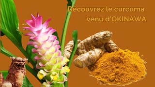 un curcuma dexception dOkinawa conçu à leau alcaline ionisée antioxydante et hexagonale [upl. by Bullen]