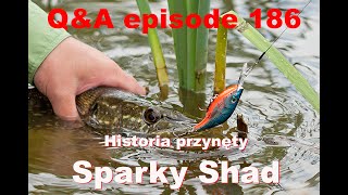 QampA odcinek 186  Historia przynęty Salmo Sparky Shad [upl. by Akelahs185]