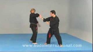 Free style Kenpo Karate [upl. by Ikoek207]