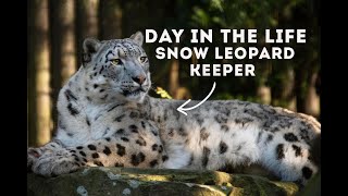 A Day in the Life of A Zookeeper  Snow Leopards ❄️ [upl. by Sykes131]