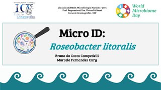 MicroID Roseobacter litoralis [upl. by Iluj]