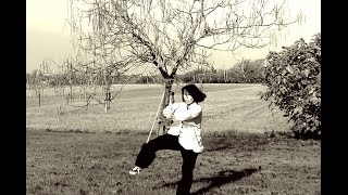 Cours de Tai Chi amp Qi Gong à Sète et Balaruc le Vieux [upl. by Doscher]