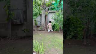 Jungle mai mungle comedy rehman viralvideo youtubeshorts [upl. by Lierbag328]