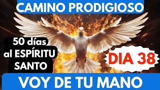 Día 38 CAMINO PRODIGIOSO 50 DÍAS AL ESPÍRITU SANTO 🔥 deja que Dios maneje los planes [upl. by Rafiq]