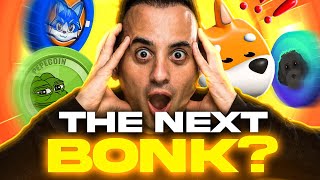 4 Expert Investors Find The NEXT 100X MEMECOIN BIGGER THAN BONK [upl. by Shayla]