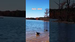 FALL 2024 fall usa baltimore ravens lake trail [upl. by Liliane10]