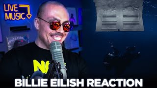 Fantano REACTION to quotHIT ME HARD AND SOFTquot by Billie Eilish [upl. by Hanus]