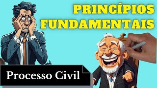 Princípios Fundamentais Processo Civil  Resumo Completo [upl. by Haerle]