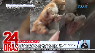 24 Oras Part 1 Justice for Killua nakidnap na bata pagpapaaersto kay Quiboloy atbp [upl. by Judenberg]