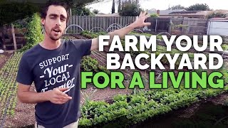 Backyard Farming 2 Year Market Garden Update of Natures Always Right Farms [upl. by Nylecoj]