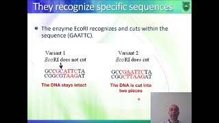 BioM02 Molecular Biology 2020 2021 Basic applications 3 Arabic [upl. by Rosetta]