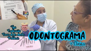 ODONTOGRAMA  vamos a clínica [upl. by Iolanthe]