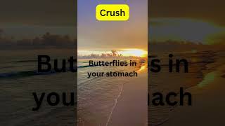 quotThe Science Behind Butterflies in Your Stomach Crushes Explainedquot [upl. by Ardnua]