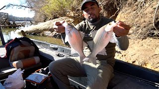 Pescando Y Cocinando En Un Río Lleno De Peces [upl. by Lebyram]