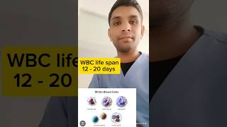 lifespan WBC and RBC and Platelets shorts viralvideo [upl. by Orv]