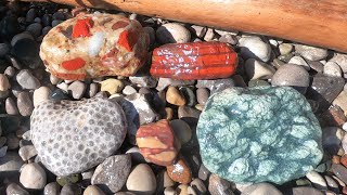 First Rock Hunt of the Season on My Favorite Beach [upl. by Dahs]