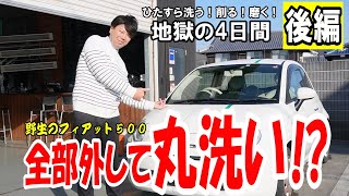 後編【野生のフィアット現る】汚れすぎてて絶望！ひたすら洗う！削る！磨く！地獄の4日間の全貌【フィアット500】 [upl. by Monie]