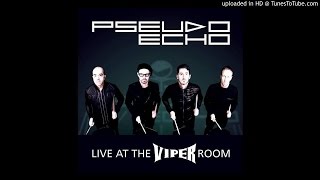 Pseudo Echo  Funky Town Live At The Viper Room [upl. by Ainimreh623]