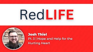 Pt 3  Hope and Help for the Hurting Heart [upl. by Adar]