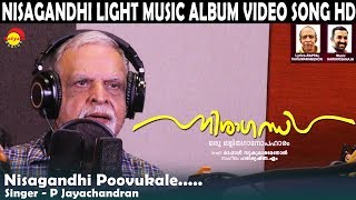 Nisagandhi Poovukale  P Jayachandran  Nisagandhi  Light Music Album Video Song [upl. by Zsa]