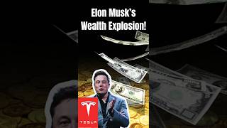 Elon Musk’s Wealth Explosion Shocking Numbers Revealed [upl. by Winfred]