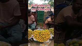 Village Gaaun ki local Market Painth Delhi to Bareilly trip [upl. by Droffats]