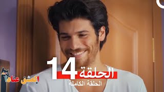 مسلسل العشق عناداً 14 Arabic Dubbed [upl. by Yeldah]