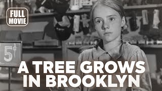 🎥️ Drama Movie A Tree Grows in Brooklyn 1945 English Full Movie  Watch Boldly [upl. by Eedia]