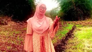 Kamana Cintana  Diah Cover by Maesyaroh At Taqwa [upl. by Lindholm]