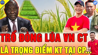 🔴Quang Linh Vlogs GIẢI PHÁP TRỒNG LÚA NƯỚC VIỆT NAM LÀ KINH TẾ TRỌNG ĐIỂM NHẤT CHÂU PHI [upl. by Monahon856]