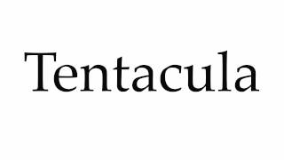 How to Pronounce Tentacula [upl. by Bj]