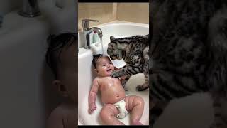 CAT Baths Baby Adorable Home Video Purrfect Bath  Cat and Baby Unlikely Bath Time  Cat and Baby [upl. by Saixela]